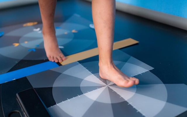 What are the Treatment Goals in Diabetic Foot Infection?